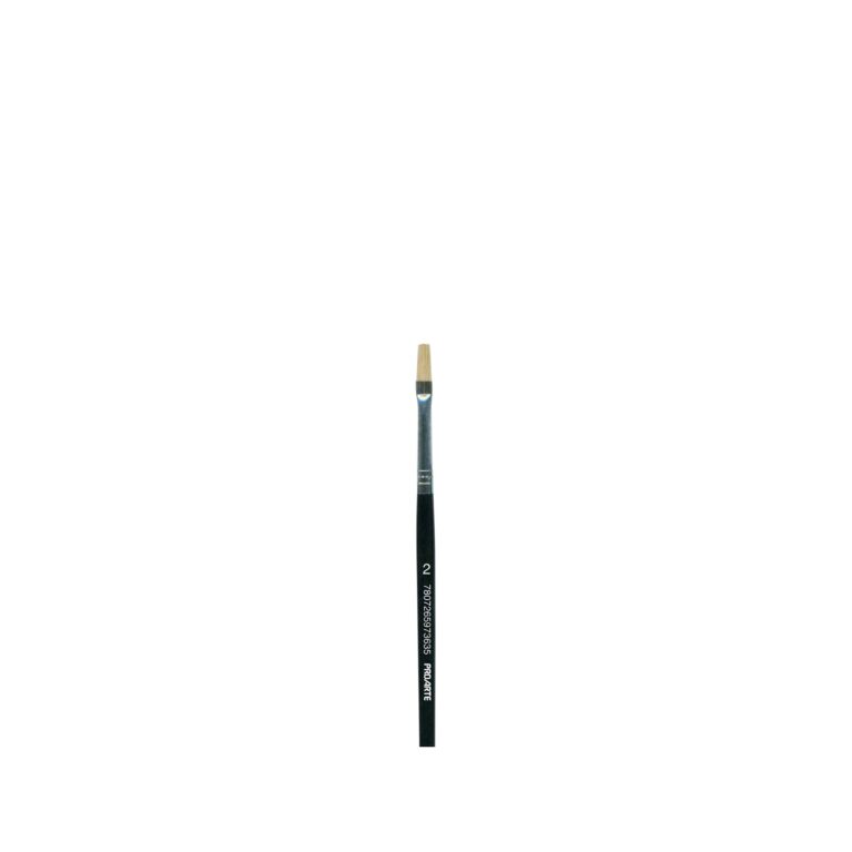 Pincel Proarte 577 Pelo Cerda Plano No 2